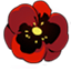 Poppy